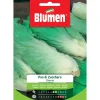 Semi Blumen Cicoria Pan di zucchero