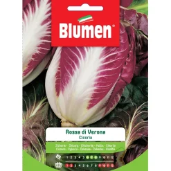 Semi Blumen Cicoria rossa di Verona 20 g
