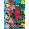 Semi fiori Bella di notte