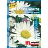 Semi fiori Margherita Mayqueen