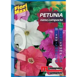 Semi fiori Petunia nana Compacta