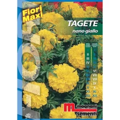 Semi fiori Tagete nano giallo