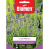 Semi Lavanda officinalis Blumen