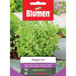 Semi Maggiorana Blumen