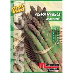 Semi orto maxi Asparago Argenteuil
