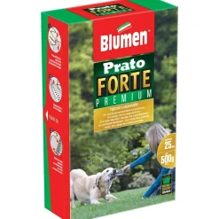 Semi prato Blumen Forte 500 g