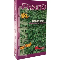 Semi prato Dicondra 500 g