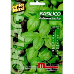 Semi aromi Basilico italiano classico