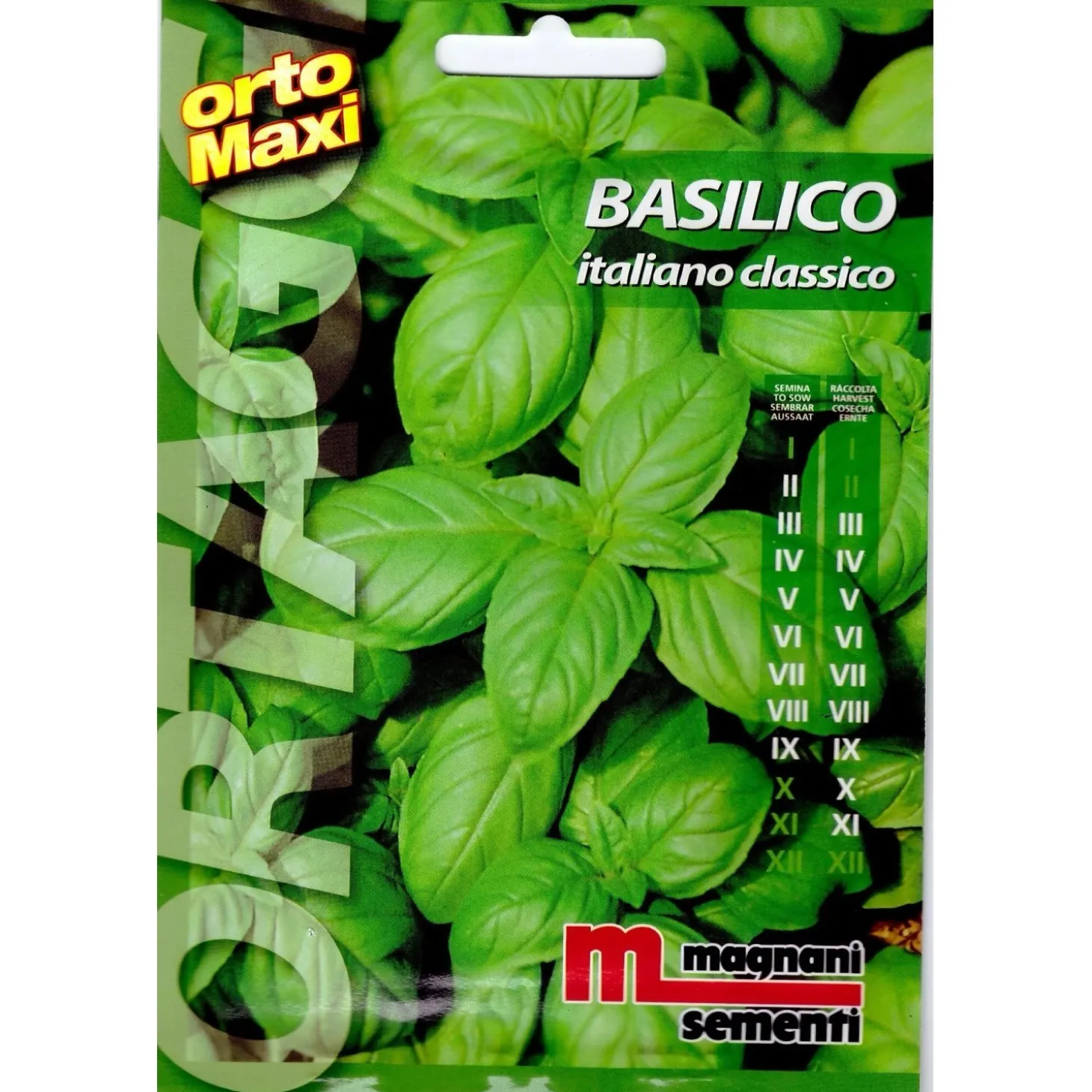 Semi aromi Basilico italiano classico