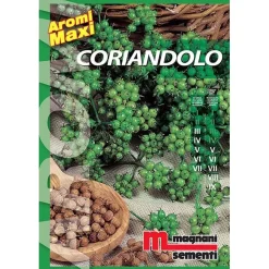 Semi aromi Coriandolo