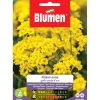 Semi Blumen Alisso giallo nano cesto d`oro