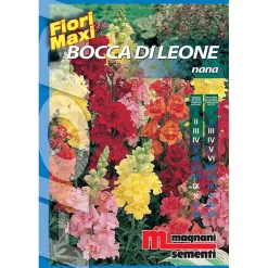 Semi fiori Bocca di leone nana