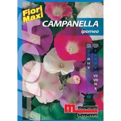 Semi fiori Campanella Ipomea
