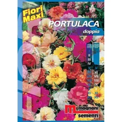 Semi fiori Portulaca doppia