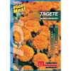 Semi fiori Tagete nano arancio