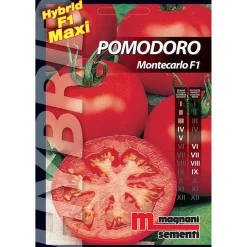 Semi ibridi Pomodoro Montecarlo