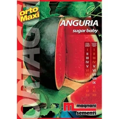 Semi orto maxi Anguria Sugar Baby