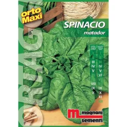 Semi orto maxi Spinacio Matador