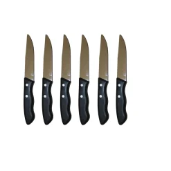 Set 6 coltelli professionali
