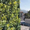 Siepe artificiale con foglie 3D Panel Buxus H 0,5 m x L 1 m verde