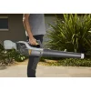 Soffiatore a batteria Alpina ABL 48 V