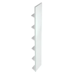 Specchio verticale con ripiani 170x20 cm