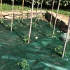 Telo anti erbacce in polipropilene Tenax Cover Pro 1,05x100 m verde