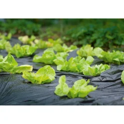 Telo pacciamatura nero 10x1,5 m