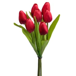Tulipano mazzo 37 cm