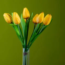 Tulipano mazzo 37 cm