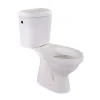 Vaso a terra Lake WC monoblocco scarico a pavimento bianco
