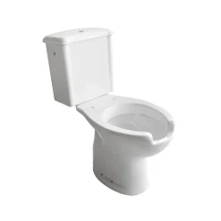 Vaso monoblocco per disabili con cassetta scarico a muro