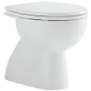Vaso WC in ceramica Geberit Colibri a terra con scarico a pavimento
