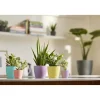 Vaso Brussels Round Mini Ø 12,5 cm Giallo