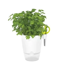 Vaso per erbe aromatiche Elho Brussels All-in 1 Ø 13x22 cm bianco