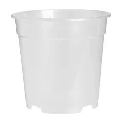 Vaso per orchidee Florus Orchidpot Ø15xH15 cm trasparente