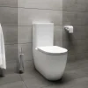 Wc Arc filo muro monobloco con sedile soft-close 65x36 cm bianco opaco